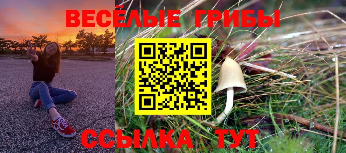 Галлюциногенные грибы Magic Shrooms  Вход с VPN  Псилоцибиновые грибы мицелий  как найти закладки  Баксан 