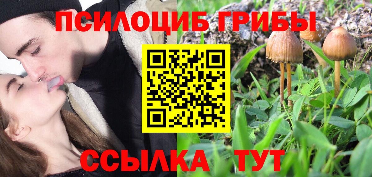 Гашиш  Канабис  APVP СОЛЬ кристаллы  Вход с VPN  Меф МЯУ МЯУ   Баксан  Cocaine 